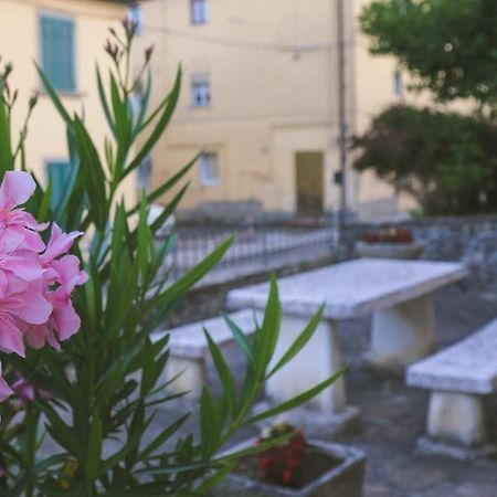 Casa Con Giardino In Mugello A 30 Minuti Da Firenze "Soleluna" Osteria di Novoli Exterior foto
