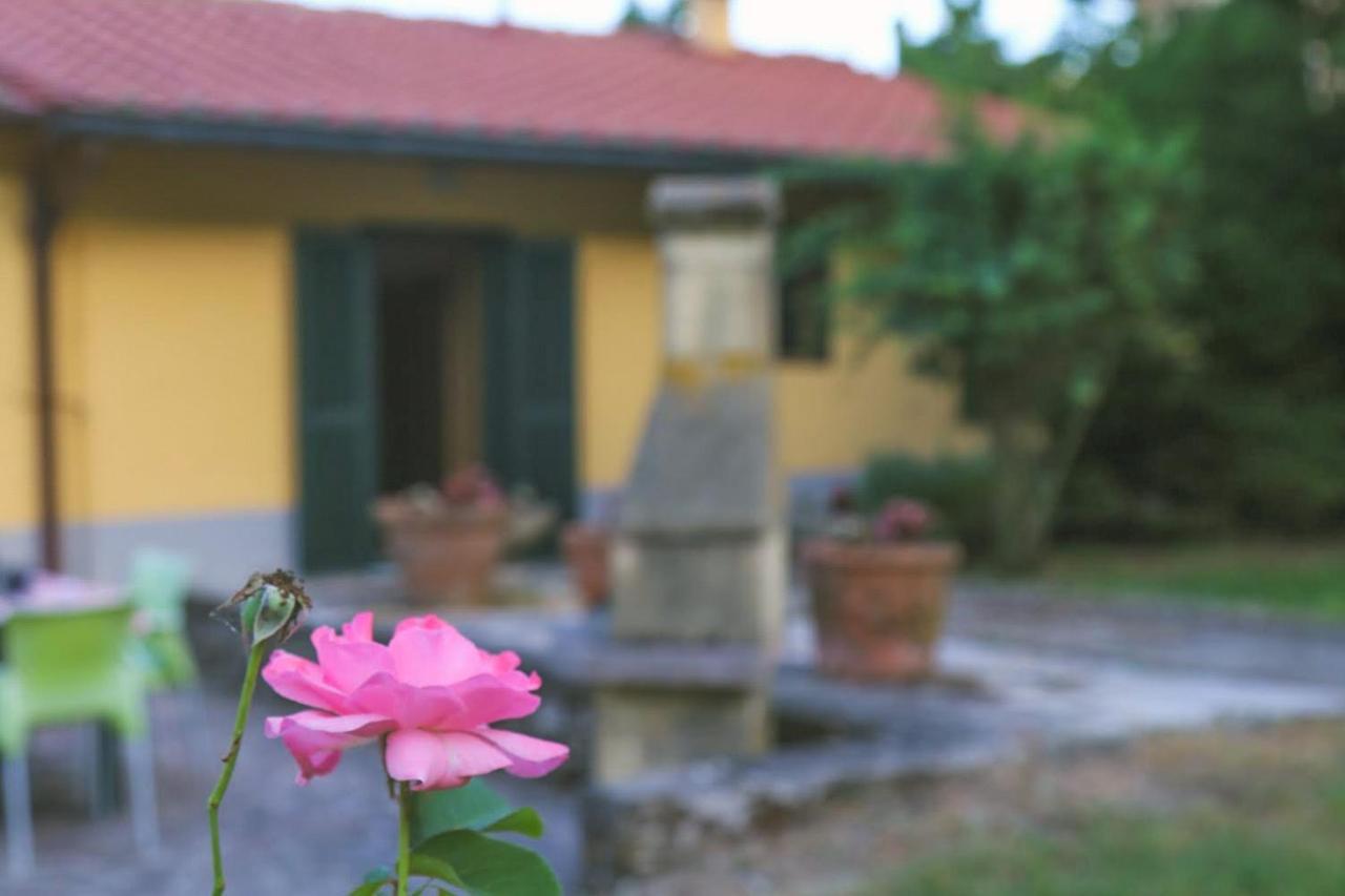 Casa Con Giardino In Mugello A 30 Minuti Da Firenze "Soleluna" Osteria di Novoli Exterior foto